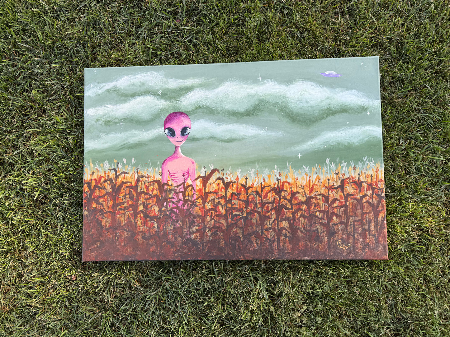 Crop Circle Survey